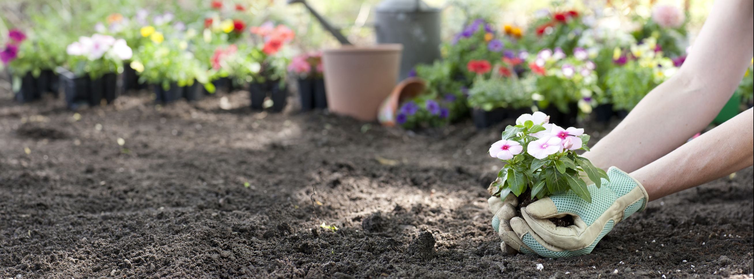 GartenCenter NeuAnspach Alles für Garten und Balkon